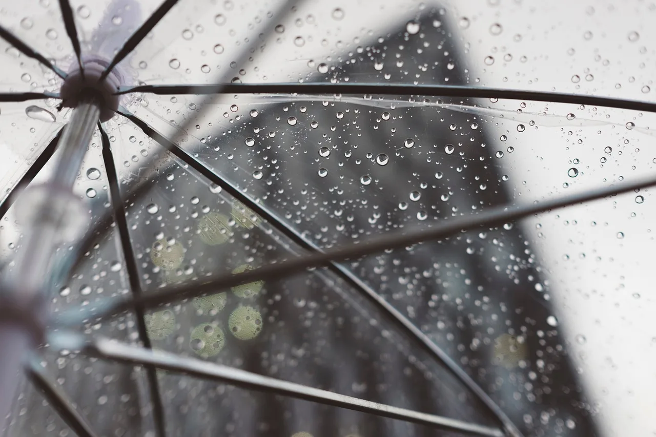 rain, umbrella, plastic, nature, water, cold, weather, building, drops, mood. Seattle damp climate storage compared with Phoenix heat and dust