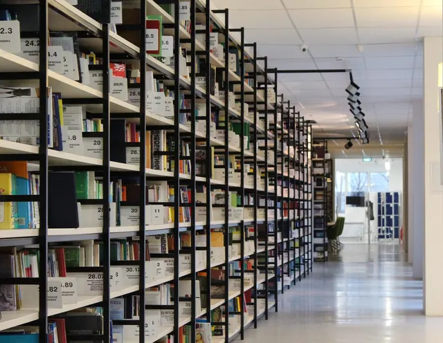 library, books, rack, shelves, reading, the culture, the corridor, classic, literature, education, development, archive, textbook, knowledge, storage, fund, library, library, libra