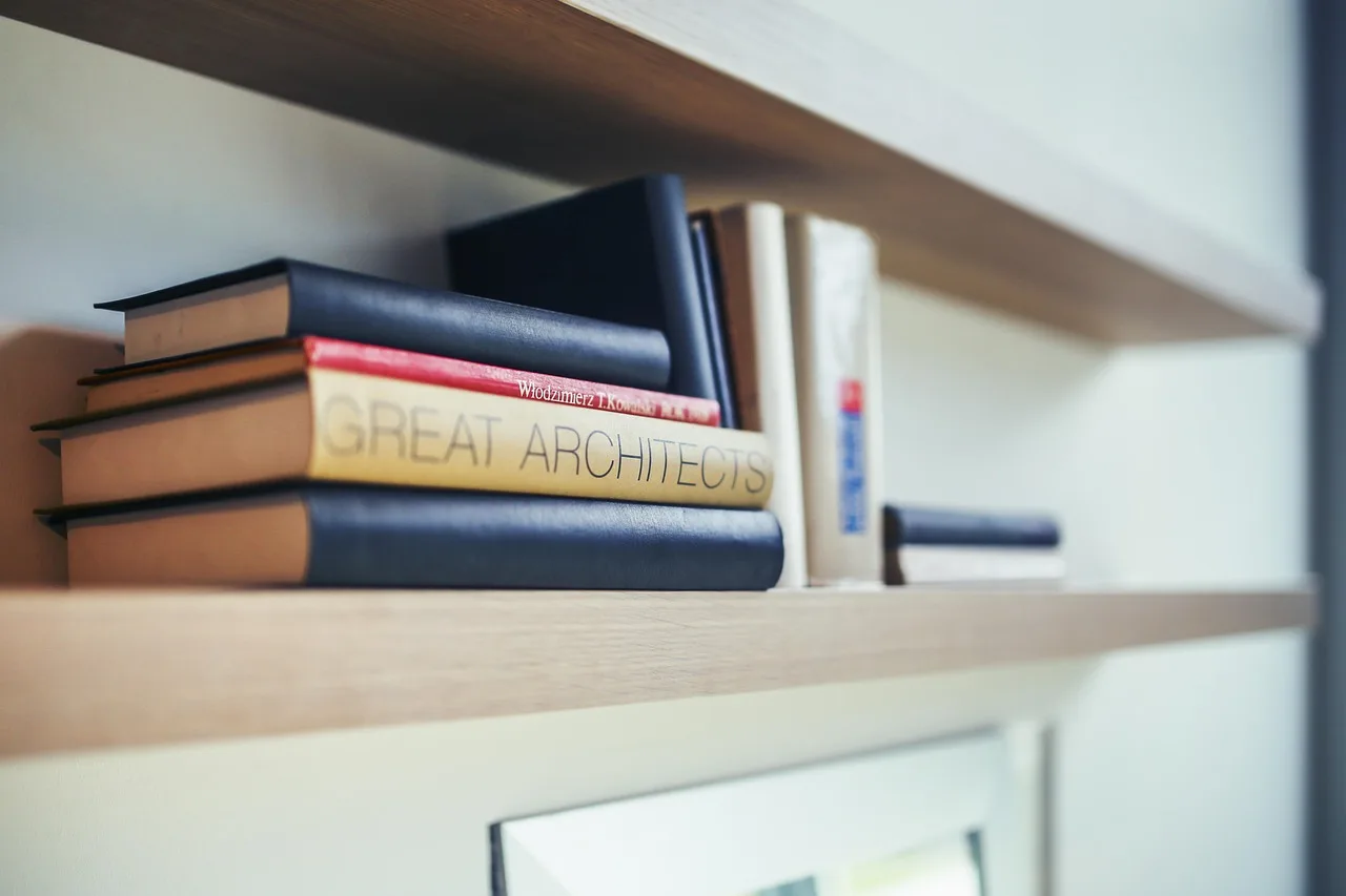 architect, book, books, shelf, studying, learning, planner, buildings, architect, architect, architect, architect, architect, book, shelf, shelf, shelf. Storage systems for tight homes: vertical, door-mounted, and under-bed